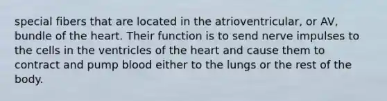 special fibers that are located in the atrioventricular, or AV, bundle of the heart. Their function is to send nerve impulses to the cells in the ventricles of the heart and cause them to contract and pump blood either to the lungs or the rest of the body.