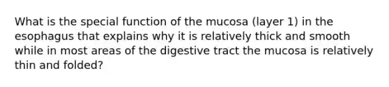 What is the special function of the mucosa (layer 1) in the esophagus that explains why it is relatively thick and smooth while in most areas of the digestive tract the mucosa is relatively thin and folded?