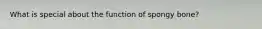 What is special about the function of spongy bone?