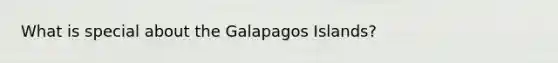 What is special about the Galapagos Islands?