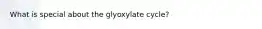 What is special about the glyoxylate cycle?