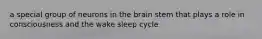 a special group of neurons in the brain stem that plays a role in consciousness and the wake sleep cycle