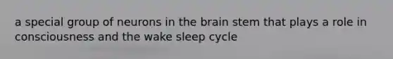 a special group of neurons in <a href='https://www.questionai.com/knowledge/kLMtJeqKp6-the-brain' class='anchor-knowledge'>the brain</a> stem that plays a role in consciousness and the wake sleep cycle