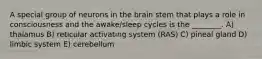 A special group of neurons in the brain stem that plays a role in consciousness and the awake/sleep cycles is the ________. A) thalamus B) reticular activating system (RAS) C) pineal gland D) limbic system E) cerebellum