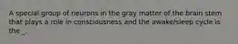 A special group of neurons in the gray matter of the brain stem that plays a role in consciousness and the awake/sleep cycle is the _.