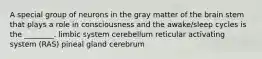 A special group of neurons in the gray matter of the brain stem that plays a role in consciousness and the awake/sleep cycles is the ________. limbic system cerebellum reticular activating system (RAS) pineal gland cerebrum