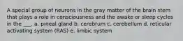 A special group of neurons in the gray matter of the brain stem that plays a role in consciousness and the awake or sleep cycles in the ___. a. pineal gland b. cerebrum c. cerebellum d. reticular activating system (RAS) e. limbic system