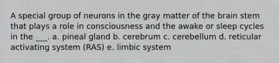 A special group of neurons in the gray matter of the brain stem that plays a role in consciousness and the awake or sleep cycles in the ___. a. pineal gland b. cerebrum c. cerebellum d. reticular activating system (RAS) e. limbic system