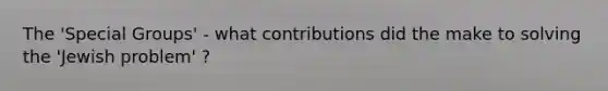 The 'Special Groups' - what contributions did the make to solving the 'Jewish problem' ?