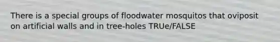 There is a special groups of floodwater mosquitos that oviposit on artificial walls and in tree-holes TRUe/FALSE