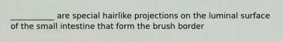 ___________ are special hairlike projections on the luminal surface of the small intestine that form the brush border