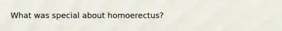 What was special about homoerectus?