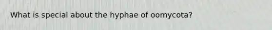 What is special about the hyphae of oomycota?