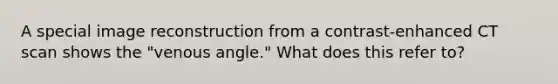 A special image reconstruction from a contrast-enhanced CT scan shows the "venous angle." What does this refer to?