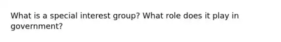 What is a special interest group? What role does it play in government?