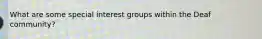 What are some special interest groups within the Deaf community?