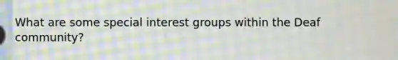 What are some special interest groups within the Deaf community?