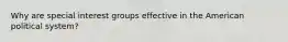 Why are special interest groups effective in the American political system?