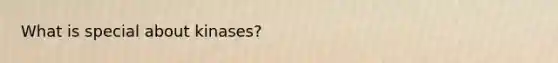 What is special about kinases?