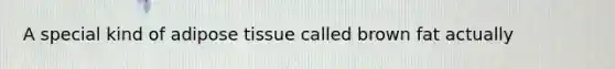 A special kind of adipose tissue called brown fat actually