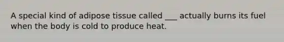 A special kind of adipose tissue called ___ actually burns its fuel when the body is cold to produce heat.