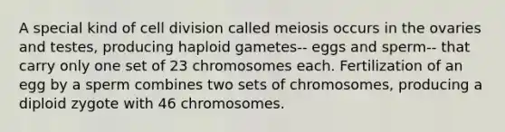 A special kind of cell division called meiosis occurs in the ovaries and testes, producing haploid gametes-- eggs and sperm-- that carry only one set of 23 chromosomes each. Fertilization of an egg by a sperm combines two sets of chromosomes, producing a diploid zygote with 46 chromosomes.