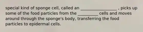 special kind of sponge cell, called an __________________ , picks up some of the food particles from the __________ cells and moves around through the sponge's body, transferring the food particles to epidermal cells.