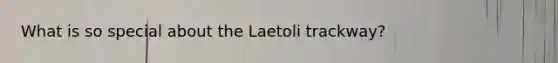 What is so special about the Laetoli trackway?