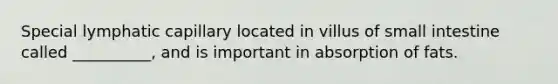 Special lymphatic capillary located in villus of small intestine called __________, and is important in absorption of fats.