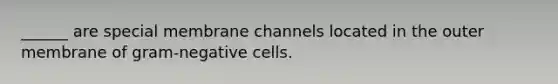 ______ are special membrane channels located in the outer membrane of gram-negative cells.