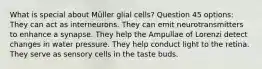 What is special about Müller glial cells? Question 45 options: They can act as interneurons. They can emit neurotransmitters to enhance a synapse. They help the Ampullae of Lorenzi detect changes in water pressure. They help conduct light to the retina. They serve as sensory cells in the taste buds.