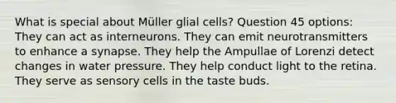 What is special about Müller glial cells? Question 45 options: They can act as interneurons. They can emit neurotransmitters to enhance a synapse. They help the Ampullae of Lorenzi detect changes in water pressure. They help conduct light to the retina. They serve as sensory cells in the taste buds.