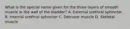 What is the special name given for the three layers of smooth muscle in the wall of the bladder? A. External urethral sphincter B. Internal urethral sphincter C. Detrusor muscle D. Skeletal muscle