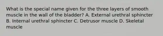 What is the special name given for the three layers of smooth muscle in the wall of the bladder? A. External urethral sphincter B. Internal urethral sphincter C. Detrusor muscle D. Skeletal muscle