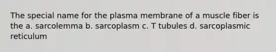 The special name for the plasma membrane of a muscle fiber is the a. sarcolemma b. sarcoplasm c. T tubules d. sarcoplasmic reticulum