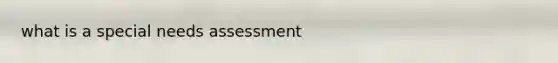 what is a special needs assessment