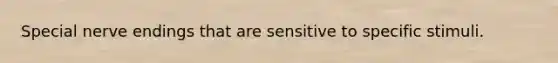 Special nerve endings that are sensitive to specific stimuli.