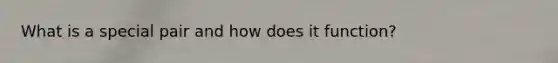 What is a special pair and how does it function?