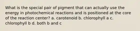 What is the special pair of pigment that can actually use the energy in photochemical reactions and is positioned at the core of the reaction center? a. carotenoid b. chlorophyll a c. chlorophyll b d. both b and c