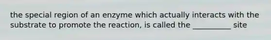 the special region of an enzyme which actually interacts with the substrate to promote the reaction, is called the __________ site