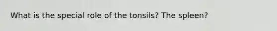 What is the special role of the tonsils? The spleen?