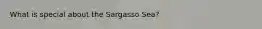 What is special about the Sargasso Sea?