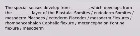 The special senses develop from _________, which develops from the _________ layer of the Blastula. Somites / endoderm Somites / mesoderm Placodes / ectoderm Placodes / mesoderm Flexures / rhombencephalon Cephalic flexure / metencephalon Pontine flexure / mesoderm