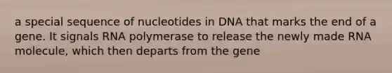 a special sequence of nucleotides in DNA that marks the end of a gene. It signals RNA polymerase to release the newly made RNA molecule, which then departs from the gene