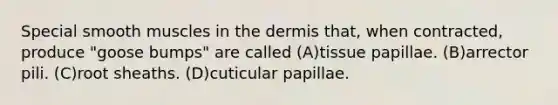 Special smooth muscles in the dermis that, when contracted, produce "goose bumps" are called (A)tissue papillae. (B)arrector pili. (C)root sheaths. (D)cuticular papillae.