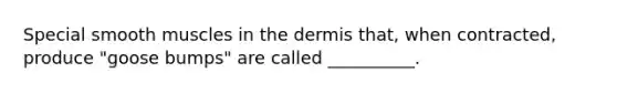 Special smooth muscles in the dermis that, when contracted, produce "goose bumps" are called __________.