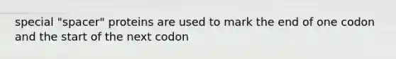 special "spacer" proteins are used to mark the end of one codon and the start of the next codon