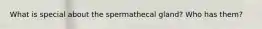 What is special about the spermathecal gland? Who has them?