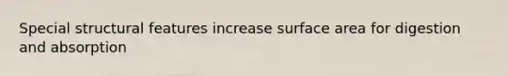 Special structural features increase surface area for digestion and absorption