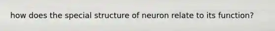 how does the special structure of neuron relate to its function?